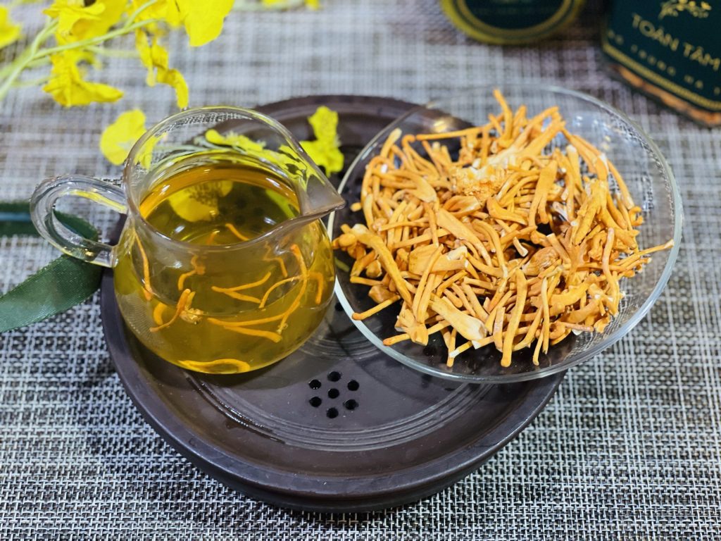 LỢI ÍCH BẤT NGỜ KHI UỐNG TRÀ ĐÔNG TRÙNG HẠ THẢO MỖI NGÀY