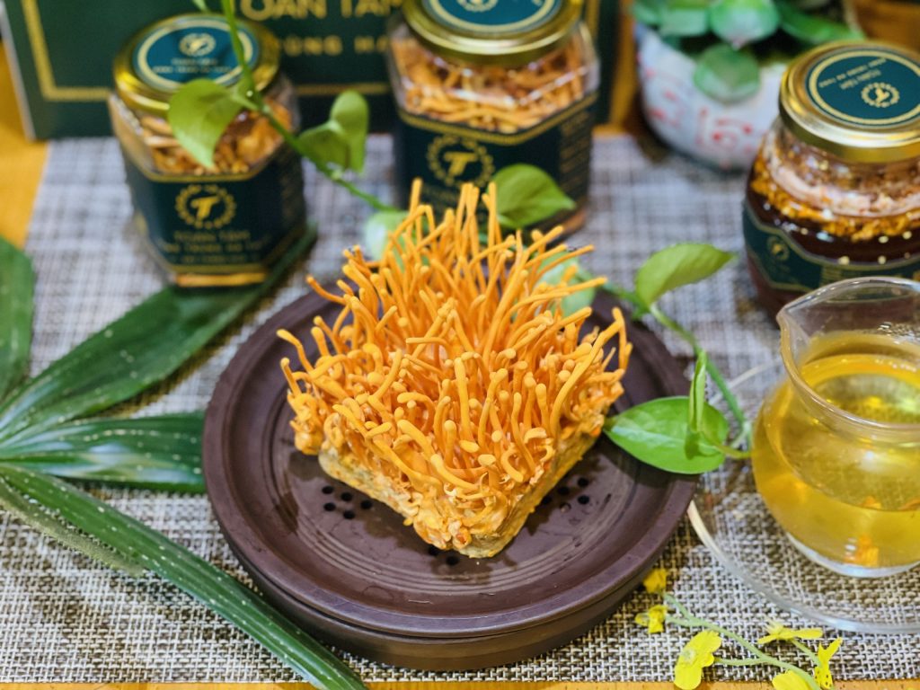 TÁC DỤNG CỦA ĐÔNG TRÙNG HẠ THẢO VỚI PHỤ NỮ LÀ GÌ?