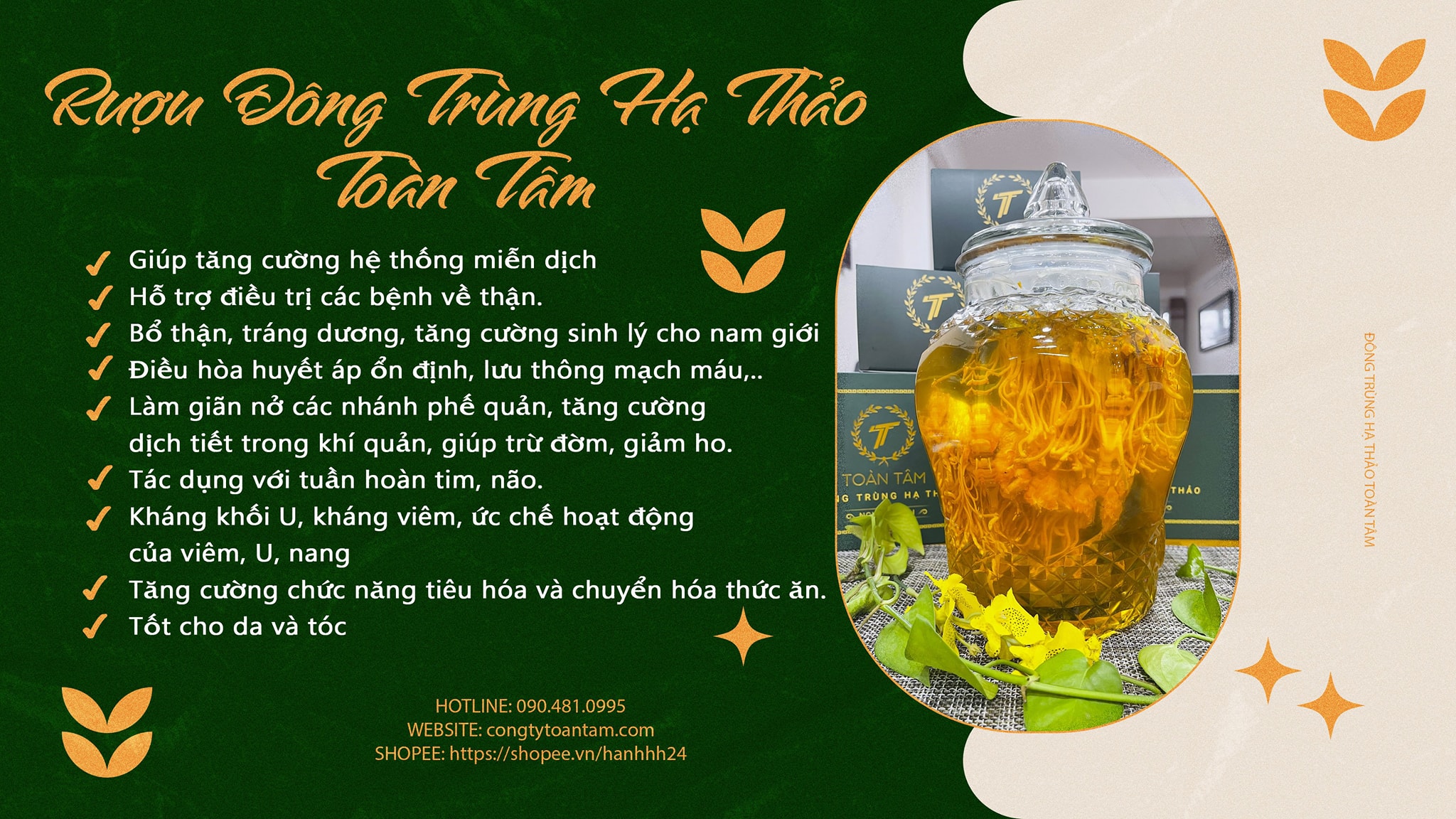 RƯỢU ĐÔNG TRÙNG HẠ THẢO TOÀN TÂM – BÍ QUYẾT CHO SỨC KHỎE TỐT