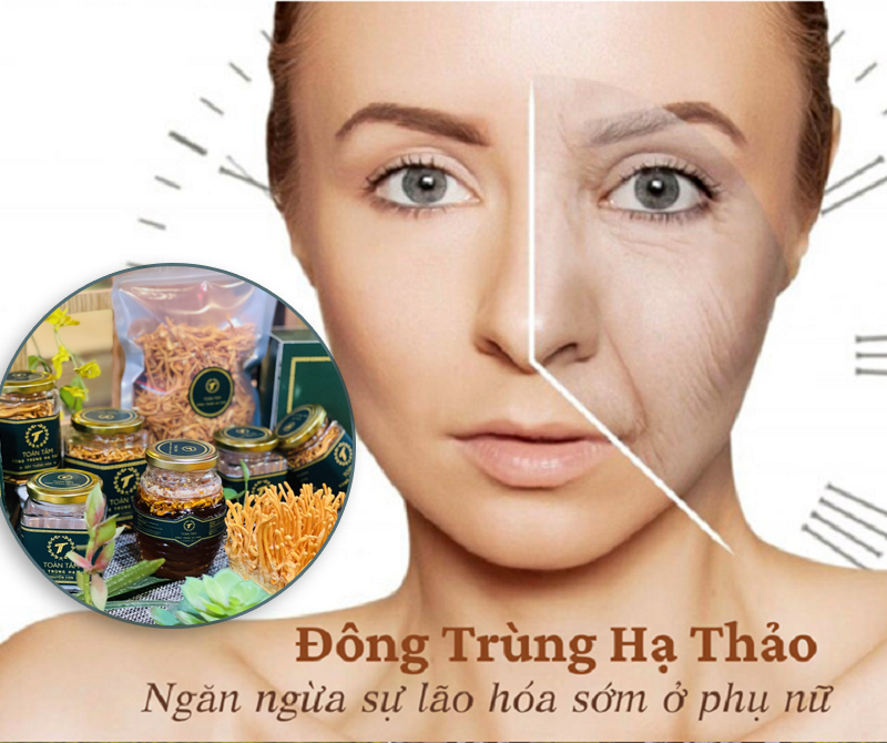 TÁC DỤNG CỦA ĐÔNG TRÙNG HẠ THẢO VỚI PHỤ NỮ LÀ GÌ?