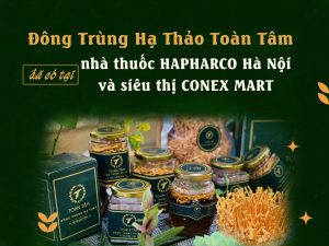 Các sản phẩm Đông trùng hạ thảo Toàn Tâm chính thức lên kệ chuỗi 15 nhà thuốc HAPHARCO Hà Nội và siêu thị CONEX MART